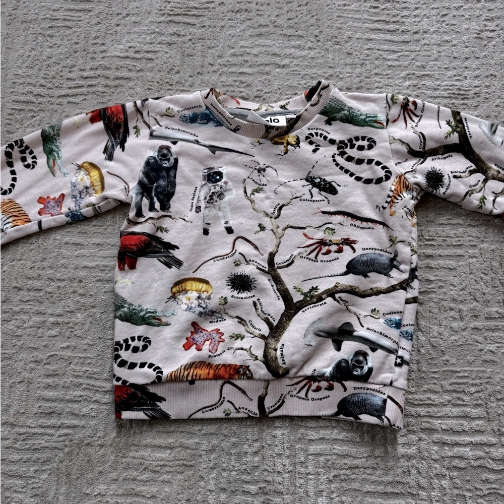 Molo sweatshirt